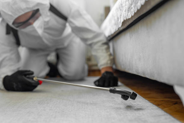 Professional Ant Control technician working in Weyauwega, WI