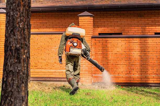 Trusted Rodent Control service in Weyauwega, WI - Nex Pest Control